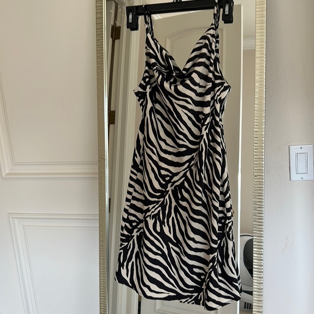 Urban outfitters Dress size small Zebra